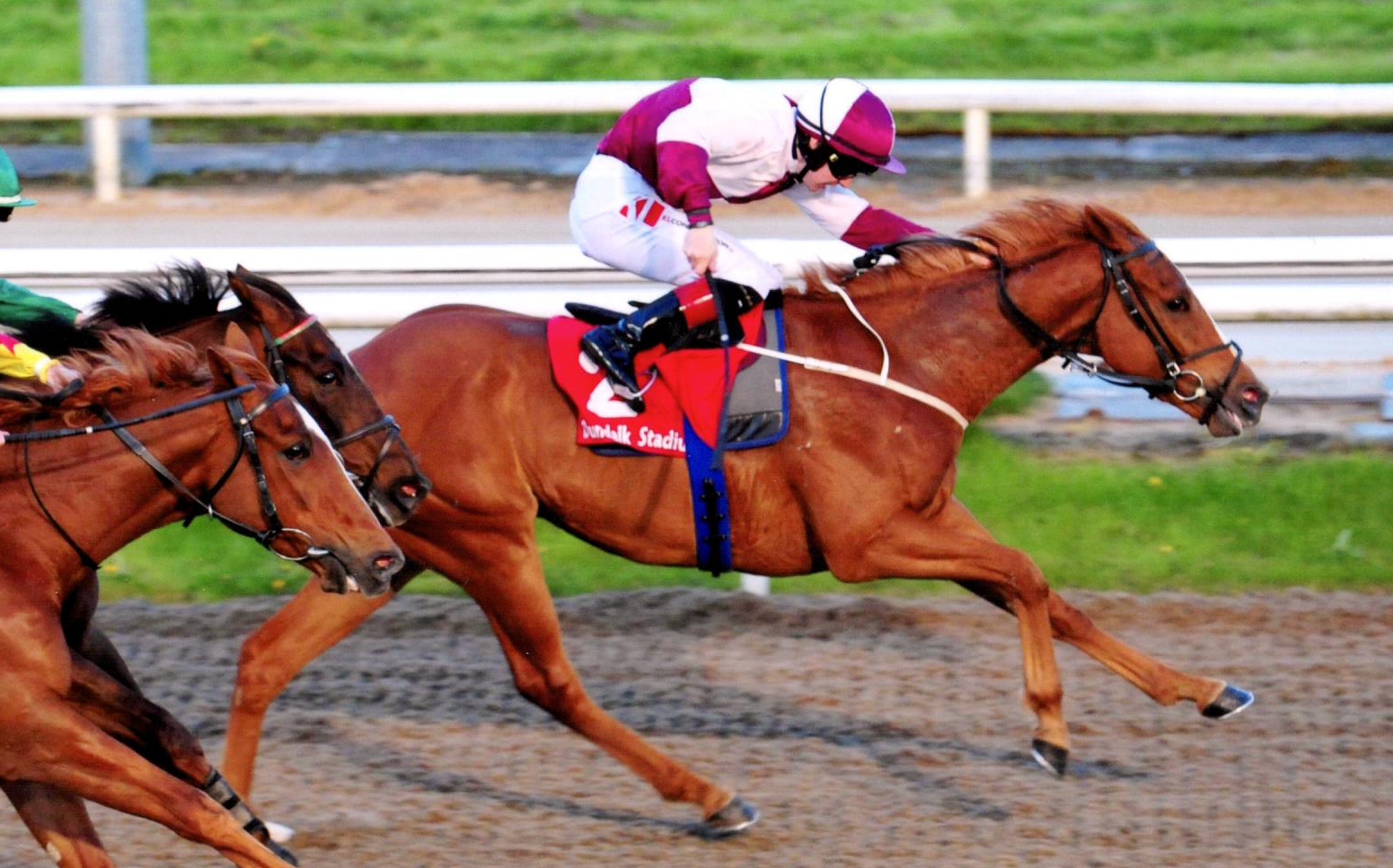 GEORGIE HYPHEN under Colin Keane wins the Crowne Plaza Race & Stay Maiden Dundalk, 2nd May 2018